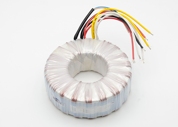 1000 VA Basic Polytronik® toroidal transformer